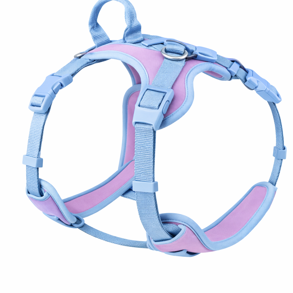 harnais pour chien violet 