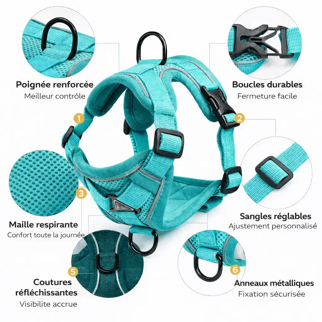 Harnais pour petit chien