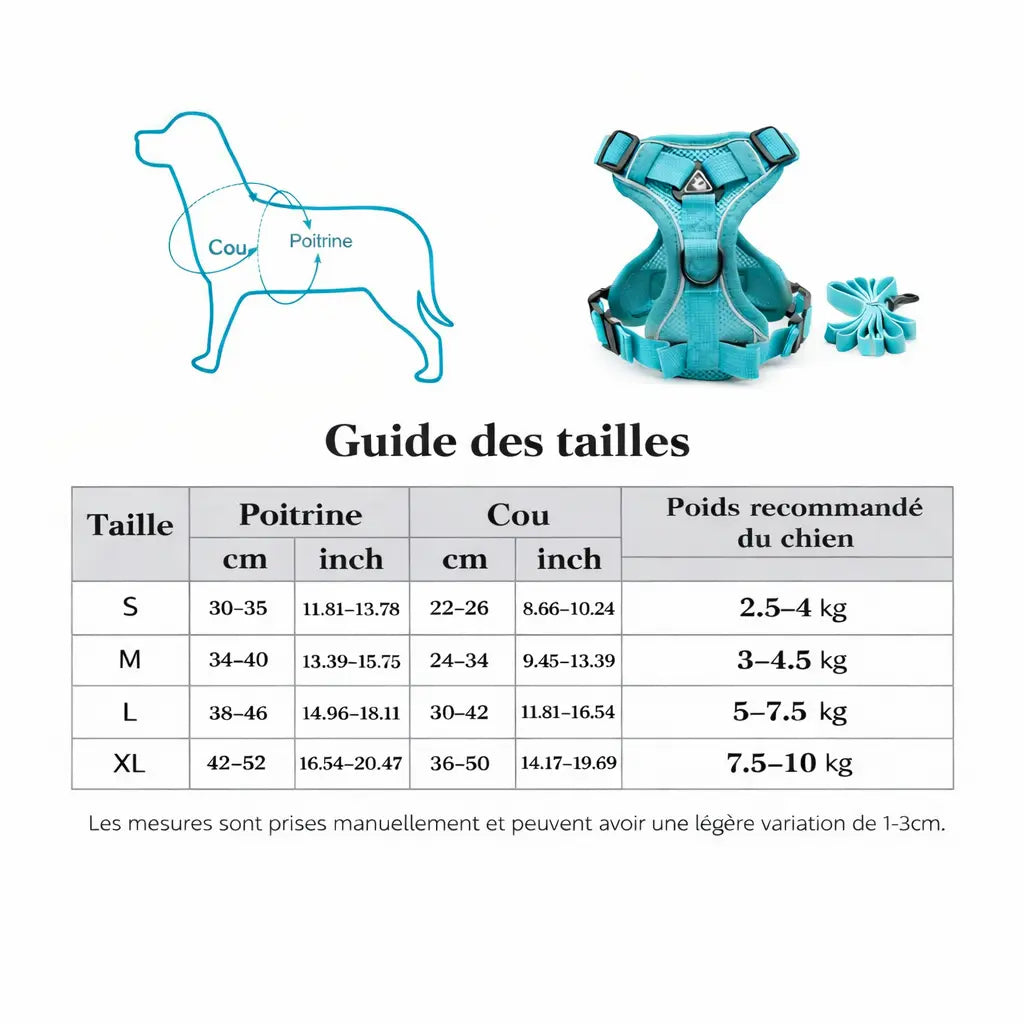 Harnais pour petit chien
