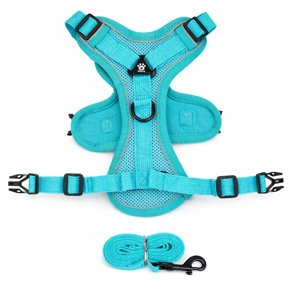 Harnais pour petit chien