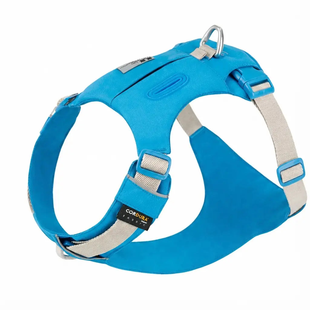 harnais bleu fond blanc