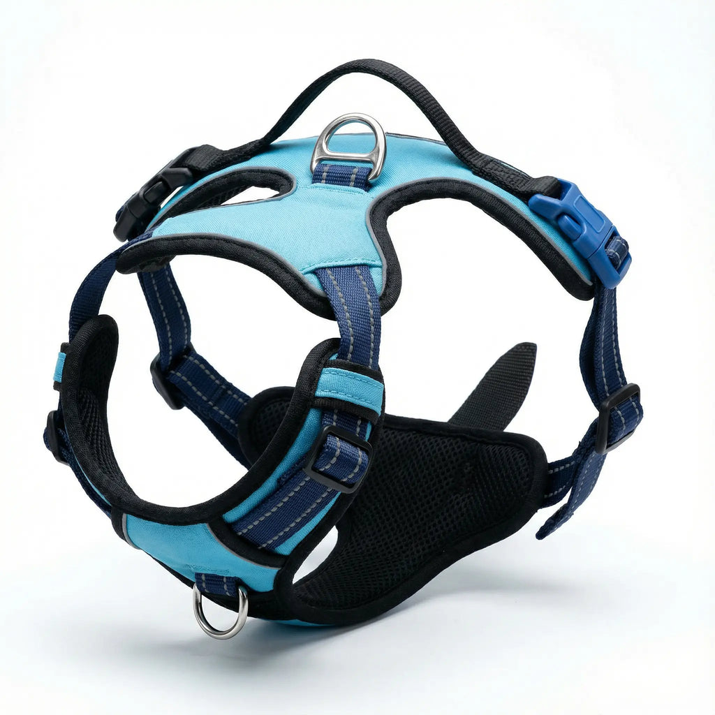 Harnais anti-traction pour chien & confortable