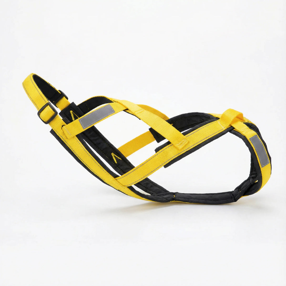 Harnais pour grand chien - canicross