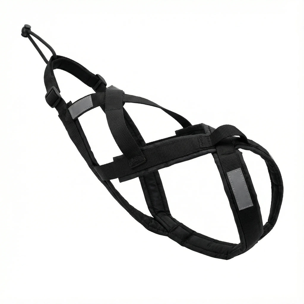 Harnais pour grand chien - canicross