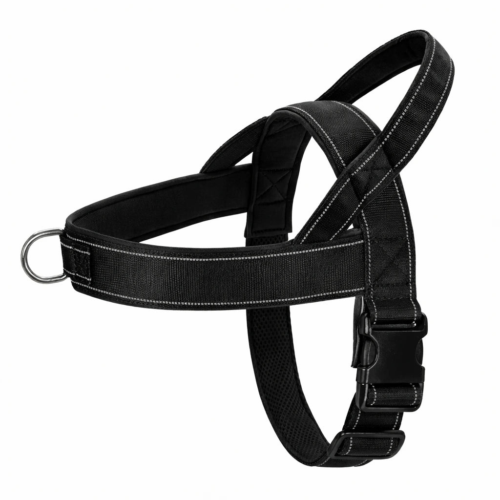 harnais noir fond blanc 