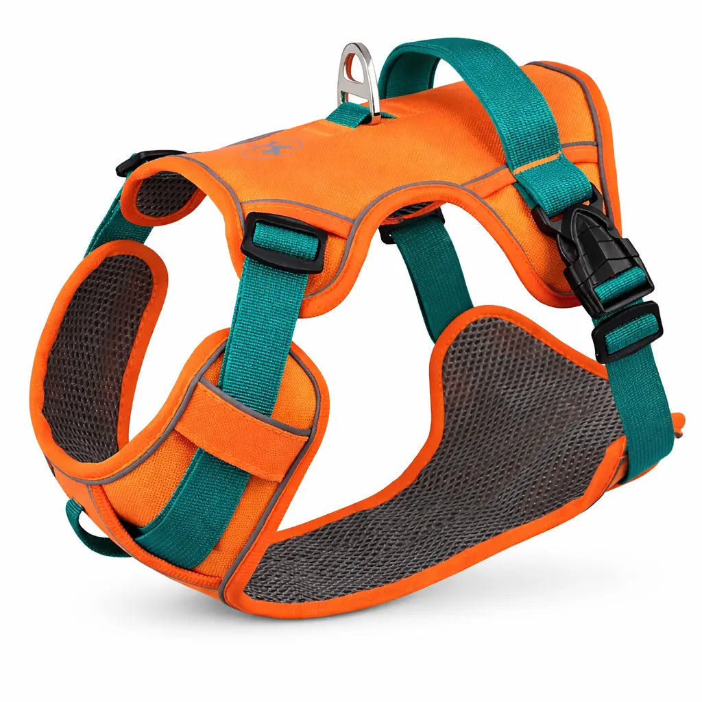 harnais orange pour voiture 