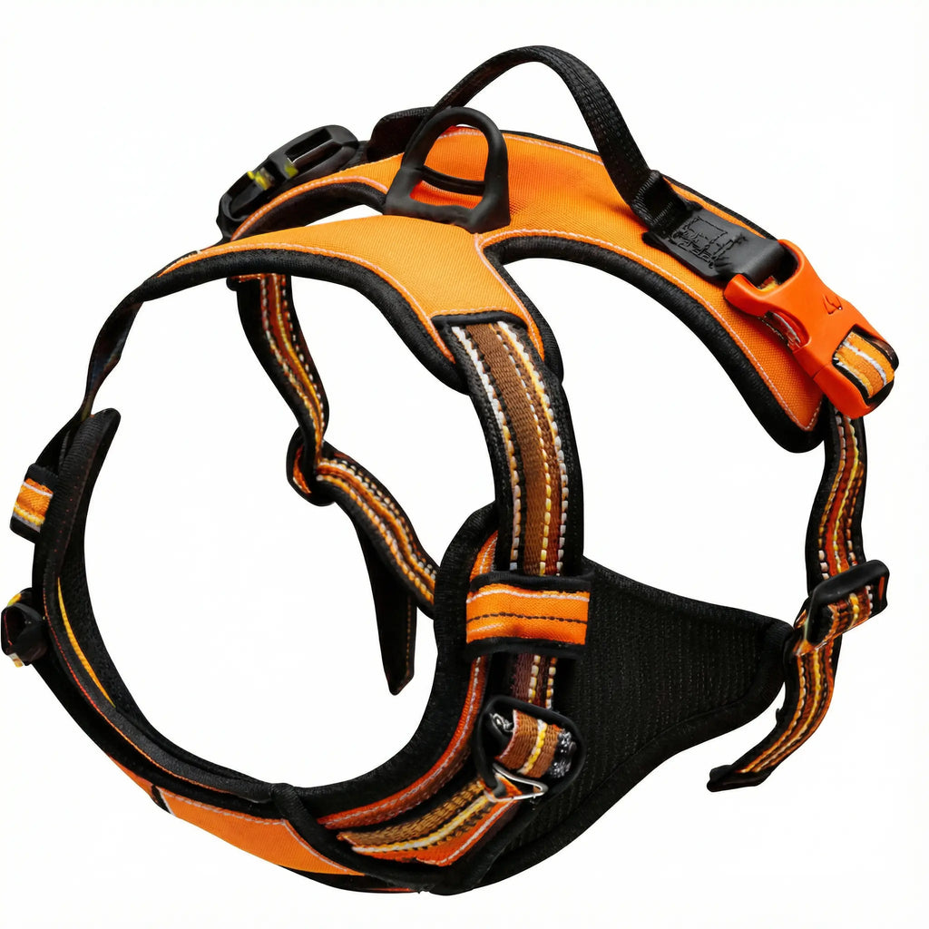 Harnais anti-traction pour chien & confortable