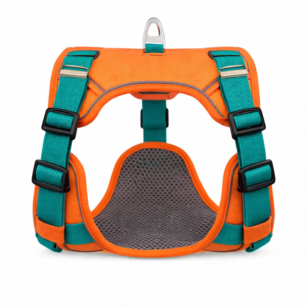 harnais orange sur fond blanc 
