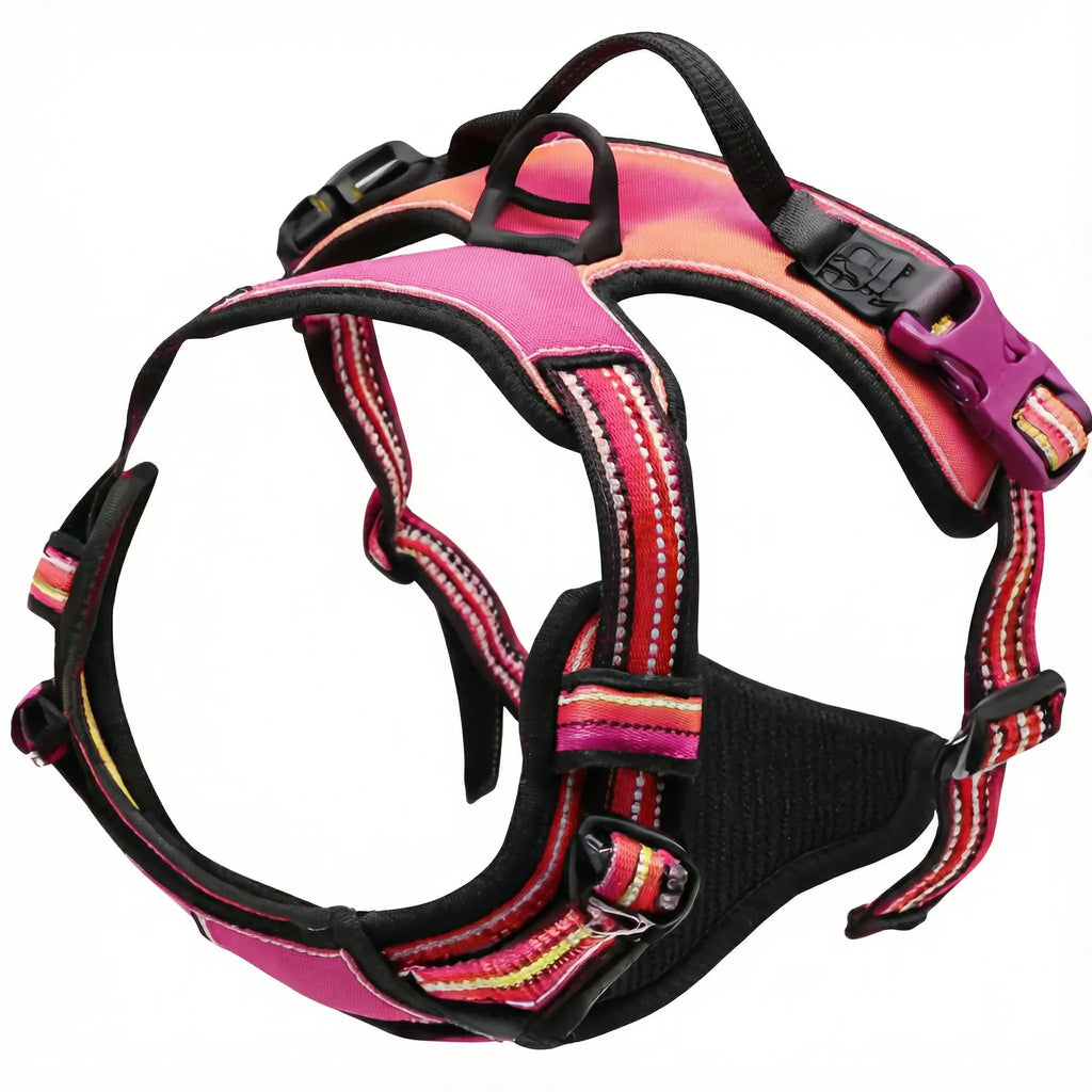 Harnais anti-traction pour chien & confortable