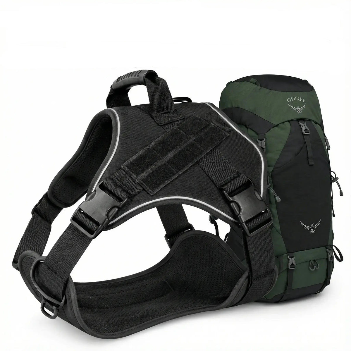Harnais pour chien randonné - Anti-traction & Tactique