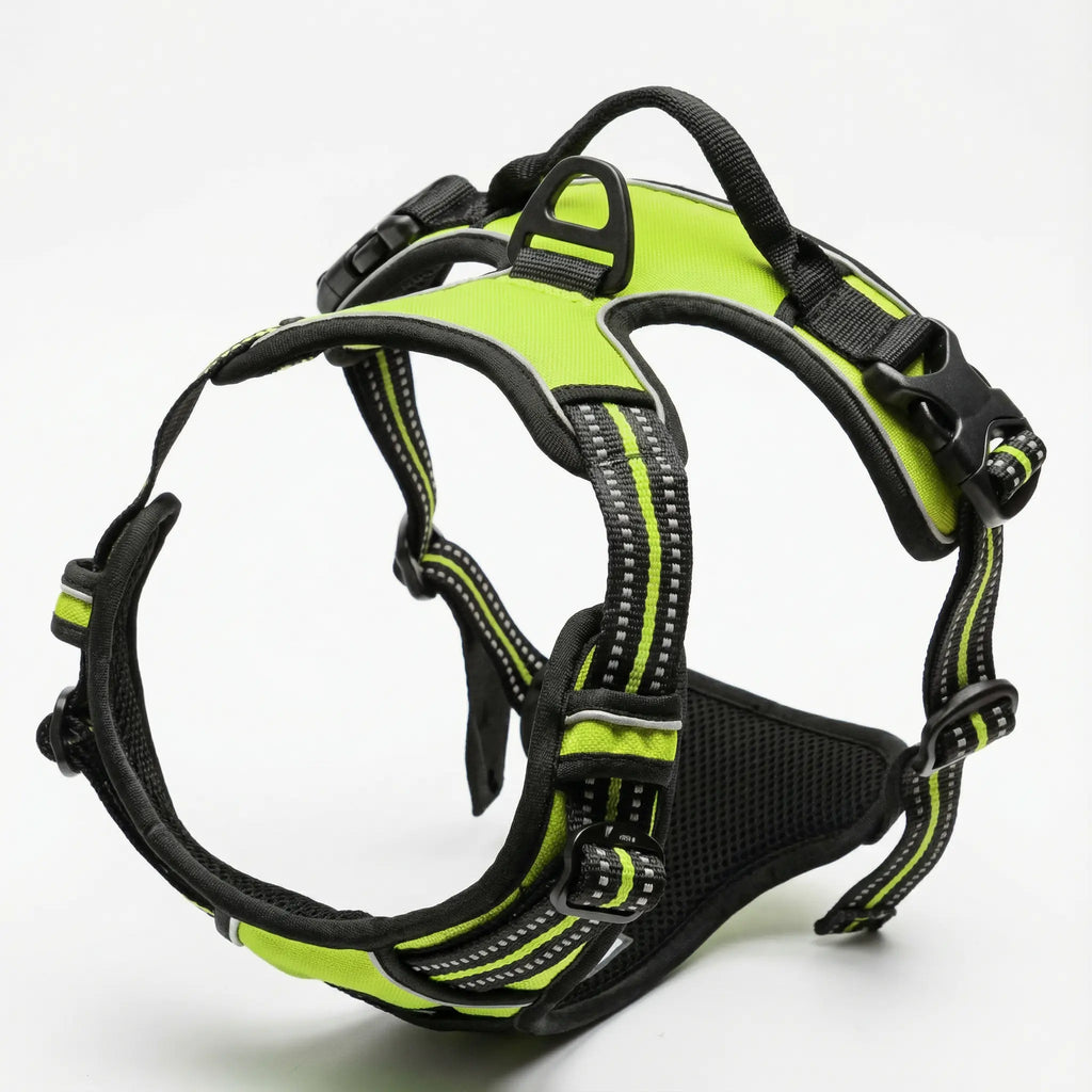 Harnais anti-traction pour chien & confortable