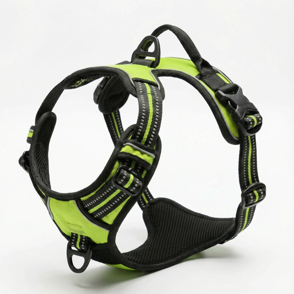 Harnais anti-traction pour chien & confortable